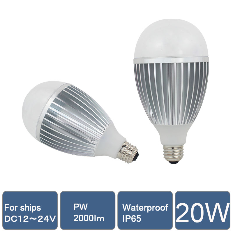 LED Bulbs case